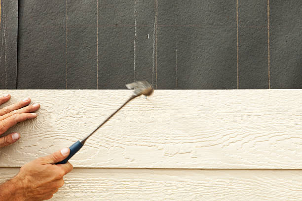 Best Siding for Multi-Family Homes  in Mooreville, MS